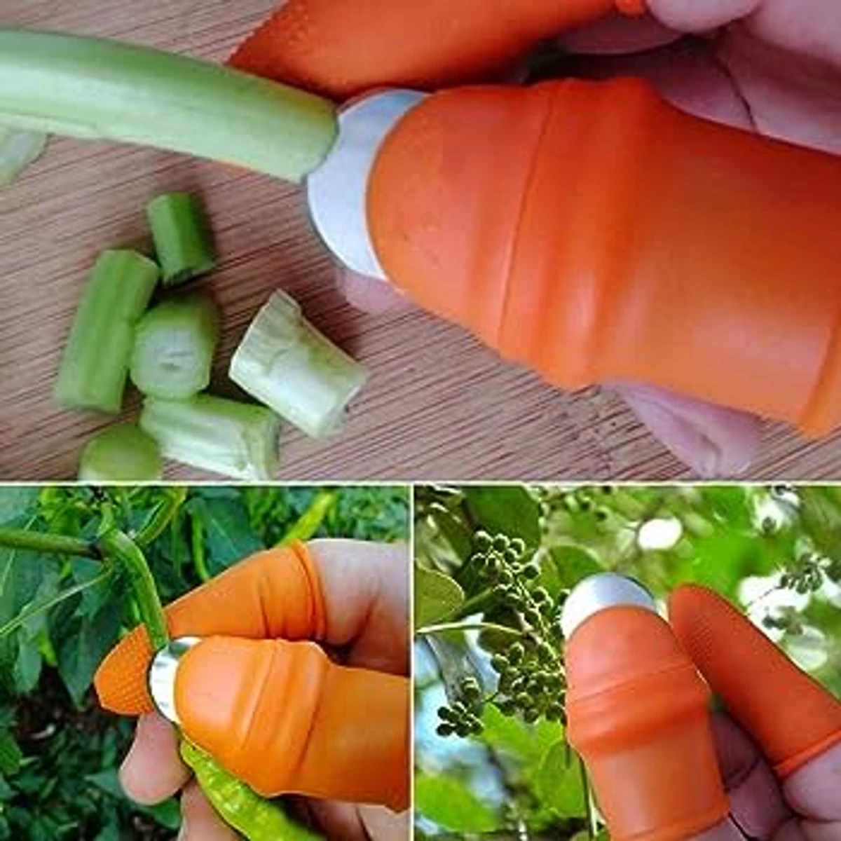 Silicone Vegetable And Fruits Thumb Cutter Finger cutter 5 in 1 - Image 3